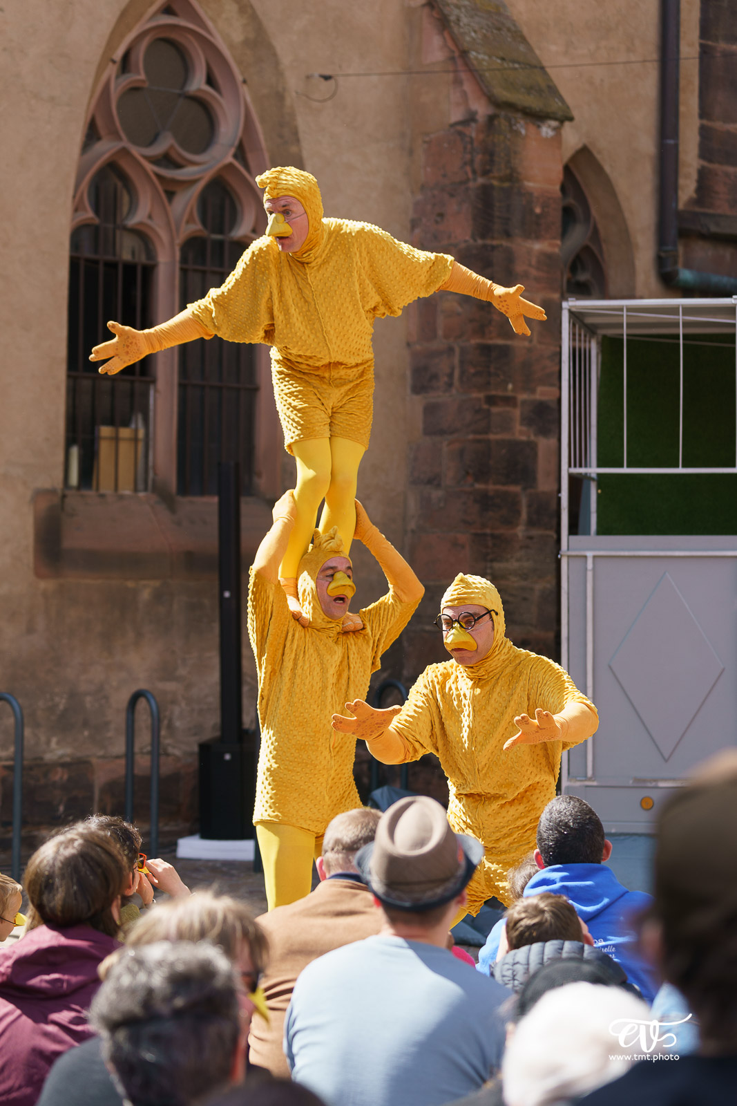 UN POUR TOUS TOUS POUSSIN ! - LES ARTS PITRES